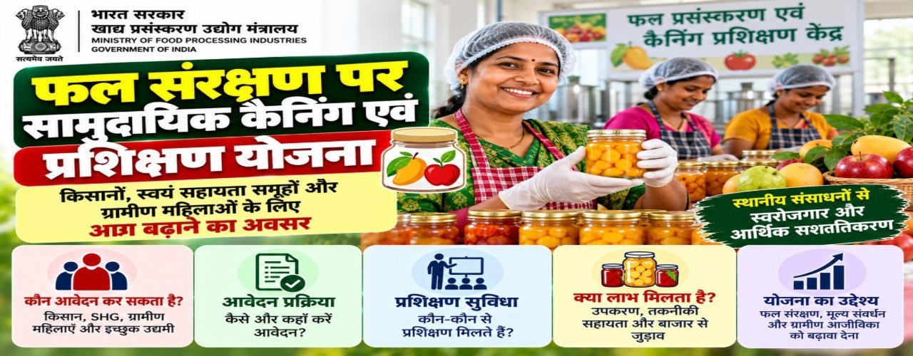 Community Canning and Training On Fruit Preservation